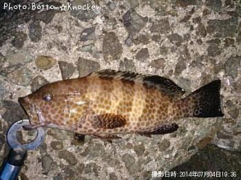 �������ϥ�