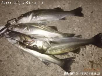 �����Х�