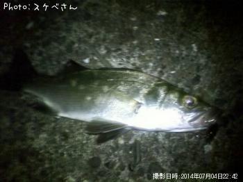 �ҥ饹����