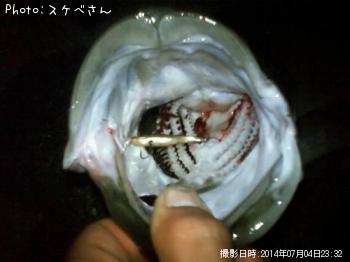 �ҥ饹����