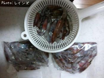 �ҥ�������ꥤ��