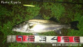 �����Х�