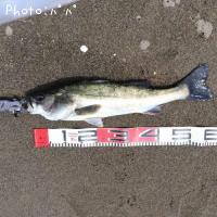 �����Х�