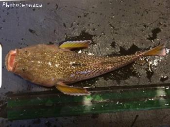 �ߥ��ޥ�����