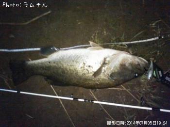 ¥Ö¥é¥Ã¥¯¥Ð¥¹