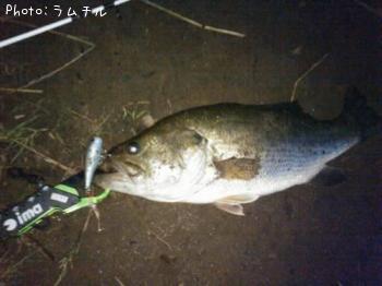 ¥Ö¥é¥Ã¥¯¥Ð¥¹