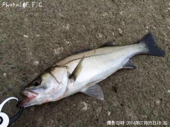 �����Х�