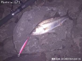 �����Х�