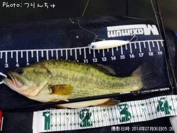 �֥�å��Х�