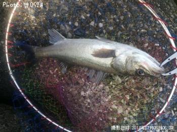 �����Х�