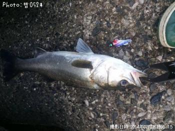 �����Х�