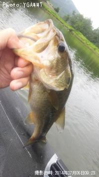 �֥�å��Х�