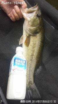 �֥�å��Х�