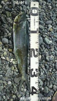 ������ʥڥ�ڥ��