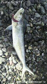 ������ʥڥ�ڥ��