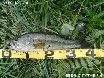 �֥�å��Х�