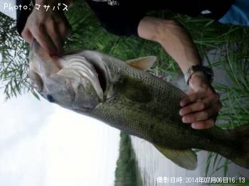 �֥�å��Х�