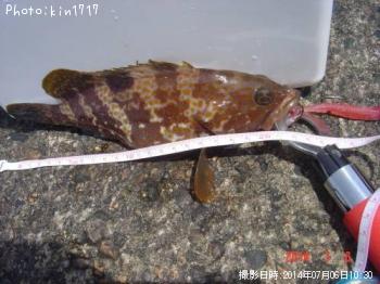 �����ϥ�