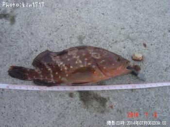 �����ϥ�