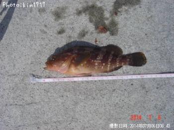 �����ϥ�