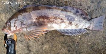 �����ʥ�