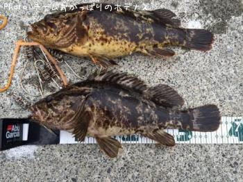 �����Υ���Х�