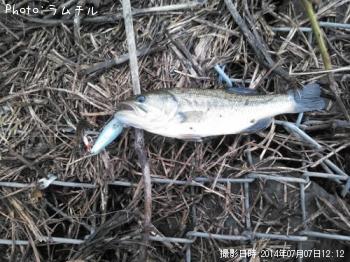 �֥�å��Х�