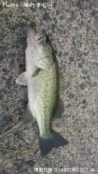 ¥Ö¥é¥Ã¥¯¥Ð¥¹