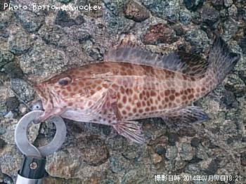 �������ϥ�