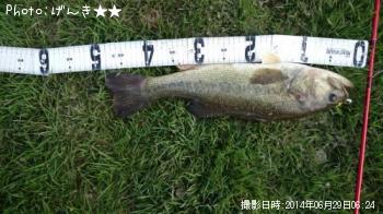 �֥�å��Х�