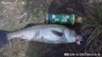 �����Х�