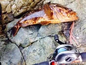 �٥å�������