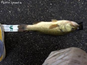 �֥�å��Х�