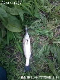 �����Х�