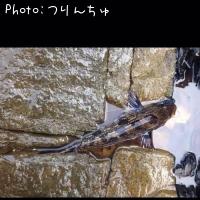 �����ʥ�