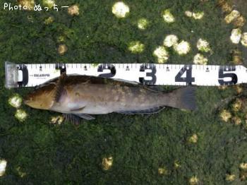 �����ʥ�