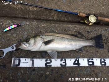 �����Х�