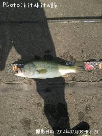 �֥�å��Х�