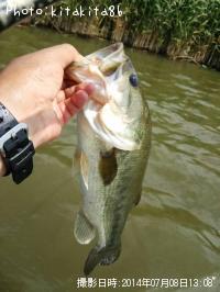 �֥�å��Х�