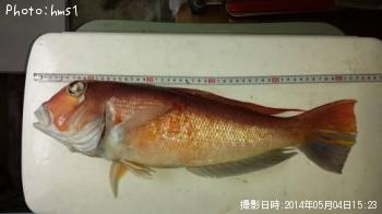 ���ޥ���