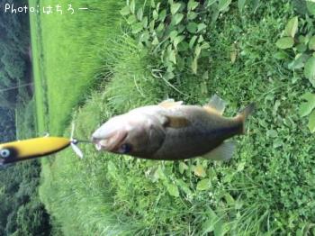 �֥�å��Х�