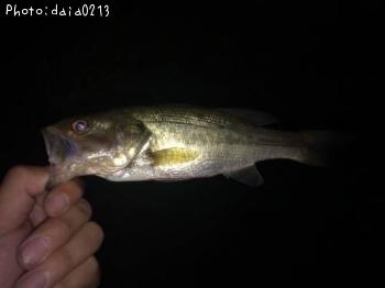 �֥�å��Х�