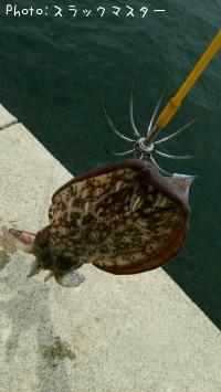 ���ߥ���