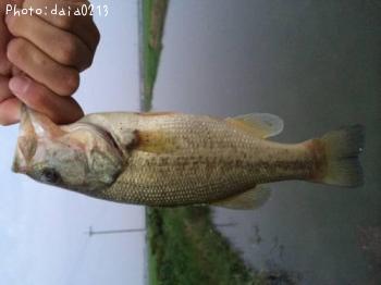 �֥�å��Х�