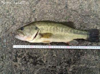 �֥�å��Х�