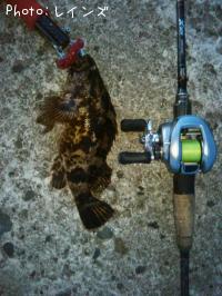 �����Υ���Х�