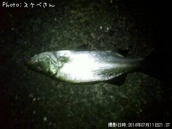 �ҥ饻����