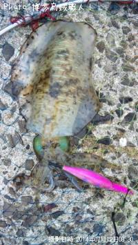 ¥¢¥ª¥ê¥¤¥«