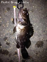 ¥¿¥±¥Î¥³¥á¥Ð¥ë