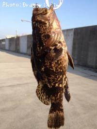 �����Υ���Х�